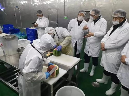 中衛(wèi)硒砂瓜產(chǎn)業(yè)考察團(tuán)參訪四季青寧夏保鮮技術(shù)研究院上海創(chuàng)新樣板工廠